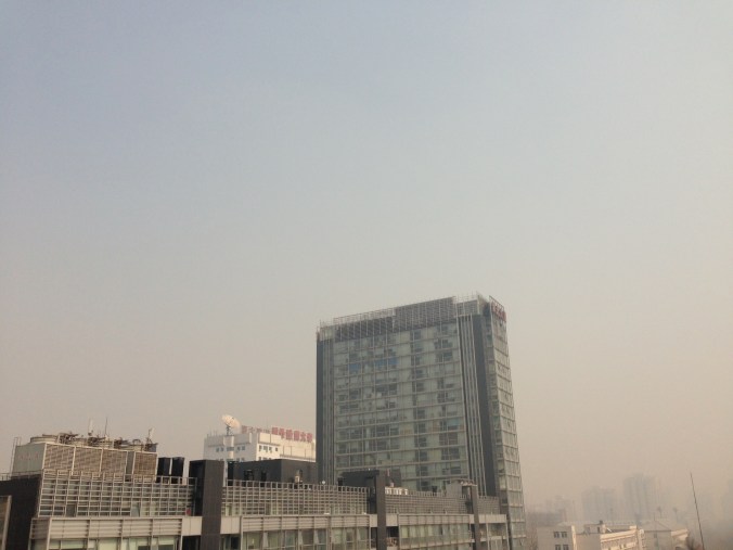 The view from my bedroom window this morning. 