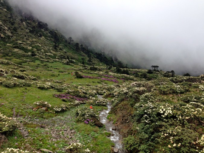 A stream on Cangshan Mountain.