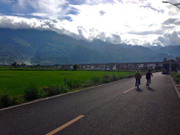 Cruising this two-lane country road on a bike was one of my favorite parts of the trip. 