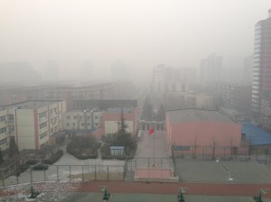 The view from my apartment on a 